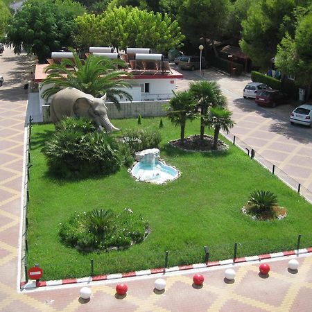 Camping L'Alqueria Gandía Dış mekan fotoğraf