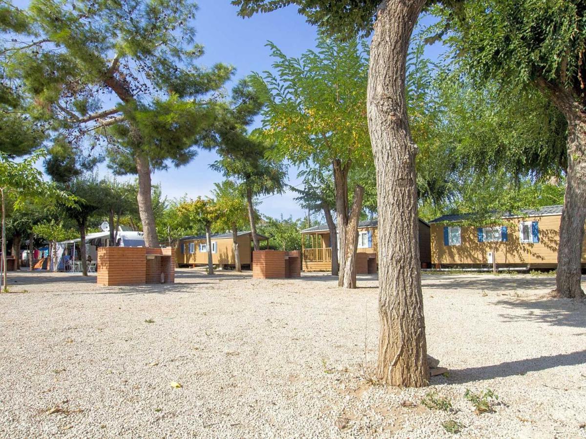 Camping L'Alqueria Gandía Dış mekan fotoğraf